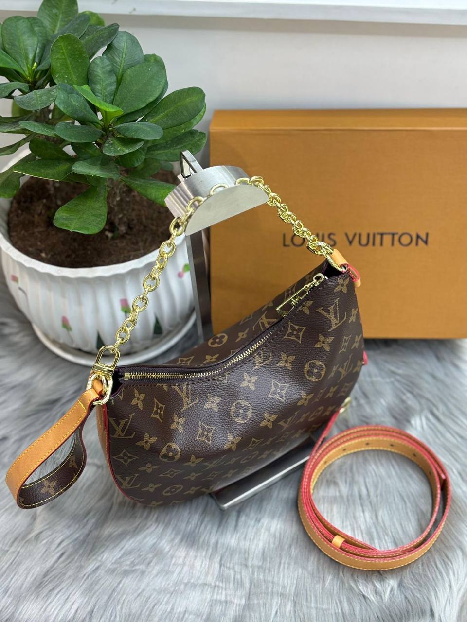 59cbcefa-3137-449b-88a5-6c16337a1724 Loop - الصورة 1